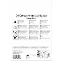 Rückseite einer Produktverpackung für 20 Crocus tommasinianus Ruby Giant Blumenzwiebeln mit Pflanzanleitung, Symbolen und Herstellerinformationen.