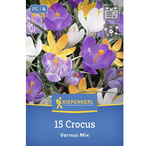 Kiepenkerl Blumenzwiebeln Krokus Vernus Mix, 15 Stück, für eine bunte Frühlingsblüte im Garten.