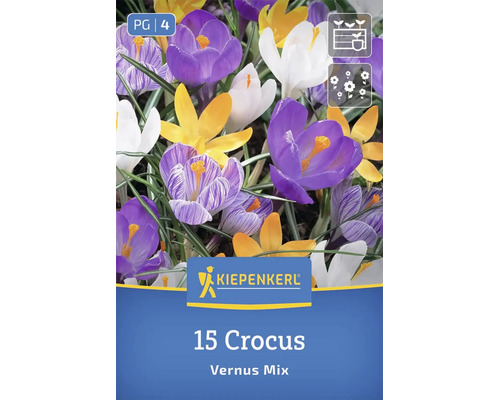 Kiepenkerl Blumenzwiebeln Krokus Vernus Mix, 15 Stück, für eine bunte Frühlingsblüte im Garten.