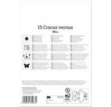 Rückseite der Verpackung von 15 Crocus vernus Blumenzwiebeln mit Pflanzanleitung, Symbolen zu Standort, Eignung und Umweltzeichen.