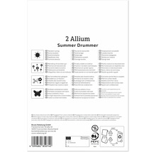 Verpackungsrückseite für Allium Summer Drummer Zwiebeln mit Pflanzhinweisen, Symbolen für Standort und Pflege sowie Entsorgungshinweisen.