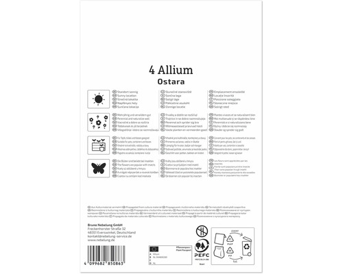 Produktverpackung für Allium Ostara Blumenzwiebeln mit Pflanzanleitung, Symbolen für Standort und Pflege sowie Entsorgungshinweisen.