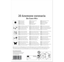Rückseite einer Produktverpackung für 20 Anemone coronaria De Caen Mix Blumenzwiebeln mit Pflanzanleitung und Symbolen für Pflege und Entsorgung.