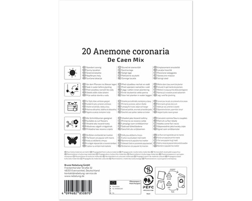 Rückseite einer Produktverpackung für 20 Anemone coronaria De Caen Mix Blumenzwiebeln mit Pflanzanleitung und Symbolen für Pflege und Entsorgung.