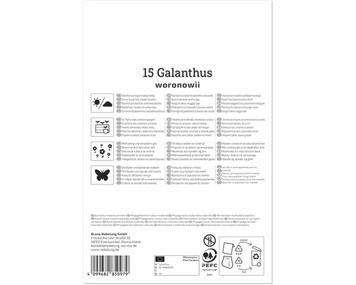 Rückseite der Verpackung von 15 Galanthus woronowii Blumenzwiebeln mit Pflanzinformationen, Symbolen und Firmenlogo von Bruno Nebelung GmbH.