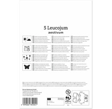 Produktverpackung für 5 Leucojum aestivum Blumenzwiebeln mit Pflanzanleitung und Entsorgungshinweisen.