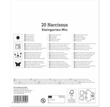 Rückseite einer Produktverpackung für 20 Narzissen Steingarten Mix mit Piktogrammen zu Standort, Verwendung, Wachstum und Insektenfreundlichkeit.