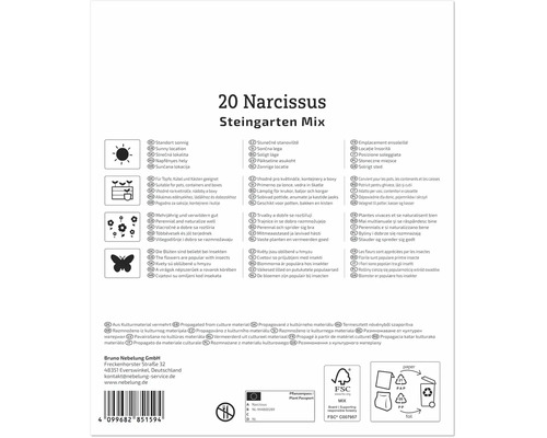 Rückseite einer Produktverpackung für 20 Narzissen Steingarten Mix mit Piktogrammen zu Standort, Verwendung, Wachstum und Insektenfreundlichkeit.