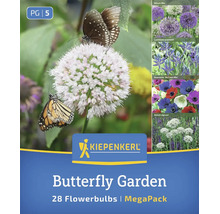 Kiepenkerl Blumenzwiebeln Butterfly Garden Mega Pack mit 28 Blumenzwiebeln für eine insektenfreundliche Blumenwiese mit verschiedenen Sorten.