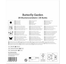 Rückseite der Verpackung für Butterfly Garden Blumenzwiebeln mit Pflanzinformationen Inhaltsangabe und Herstellerangaben