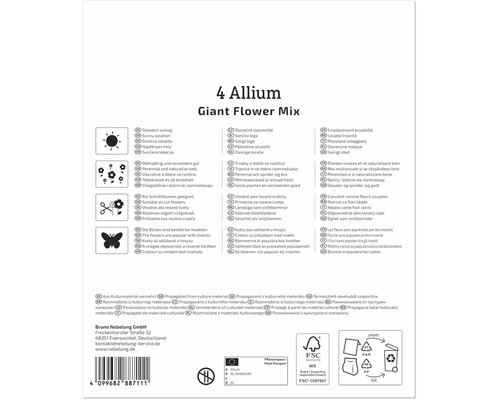 Produktverpackung für 4 Allium Riesenblumenmischung mit Pflanzhinweisen, Symbolen und Recyclinginformationen auf der Rückseite.