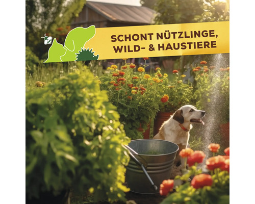 Garten mit Hund, Metallkübel und Blumenbeet, Label mit dem Hinweis schont Nützlinge, Wildtiere und Haustiere.