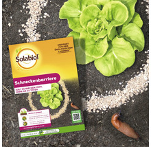Solabiol Schneckenbarriere Granulat Packung zur Abwehr von Nackt- und Gehäuseschnecken im Gartenbeet.