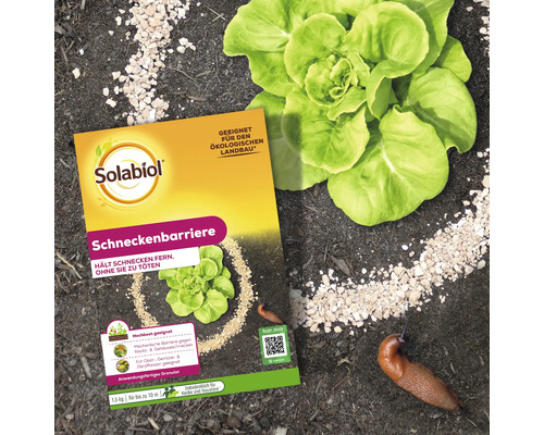 Solabiol Schneckenbarriere Granulat Packung zur Abwehr von Nackt- und Gehäuseschnecken im Gartenbeet.