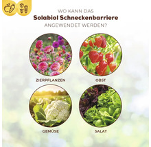 Infografik zeigt Anwendungsbereiche der Solabiol Schneckenbarriere bei Zierpflanzen, Obst, Gemüse und Salat.
