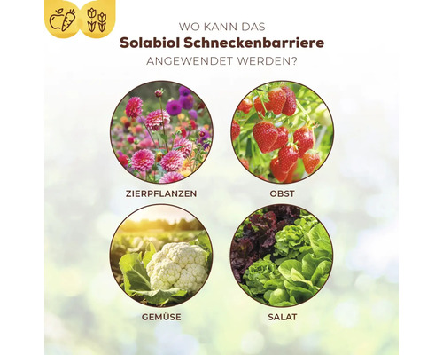 Infografik zeigt Anwendungsbereiche der Solabiol Schneckenbarriere bei Zierpflanzen, Obst, Gemüse und Salat.