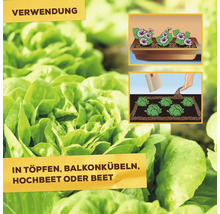 Anwendungshinweise zur Verwendung von Pflanzgranulat für Töpfe, Balkonkästen, Hochbeete und Gartenbeete mit illustrierten Beispielen.