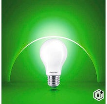 Philips LED Lampe mit E27 Sockel und matter Oberfläche (Image AI modified or generated)