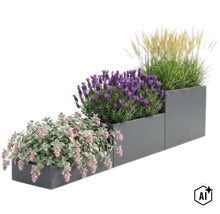 Drei gestufte Pflanzkübel in einer Reihe mit verschiedenen Gartenpflanzen wie Lavendel und Gräsern. (Image AI modified or generated)