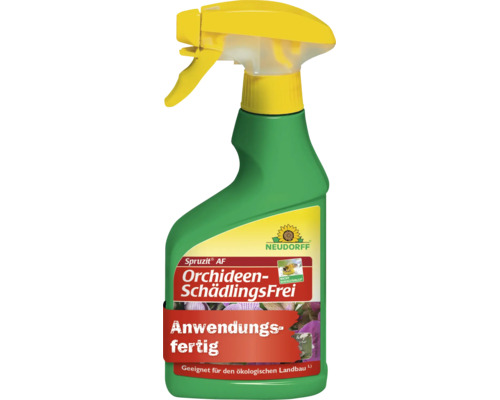 Neudorff Spruzit AF Orchideen-SchädlingsFrei Sprühflasche zur Bekämpfung von Schädlingen an Orchideen, anwendungsfertig.