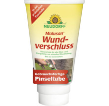 Neudorff Malusan Wundverschluss in der praktischen Pinseltube zur schnellen Wundheilung von Obst und Ziergehölzen.