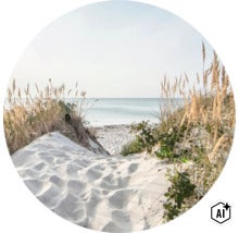 Dünenlandschaft mit Sandweg und Dünengras vor dem Meer bei klarem Himmel. (Image AI modified or generated)