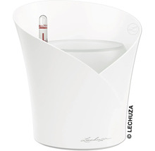 Lechuza Pflanzgefäß mit Bewässerungssystem und Wasserstandsanzeiger
