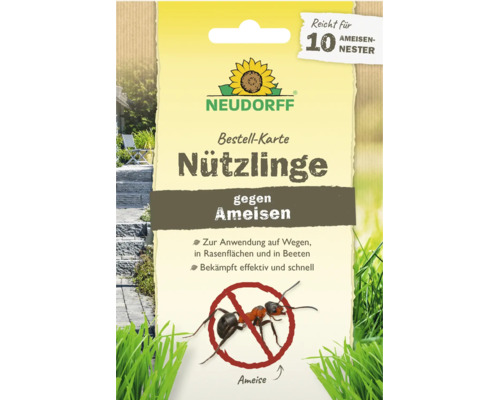 Neudorff Ameisen Nützlinge Bestellkarte zur biologischen Ameisenbekämpfung auf Wegen, Rasenflächen und in Beeten, ausreichend für 10 Ameisennester.