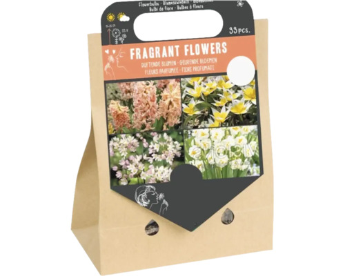 Set mit 33 duftenden Blumenzwiebeln, Mischung aus verschiedenen Frühlingsblühern in Papiertragetasche, für den Garten.