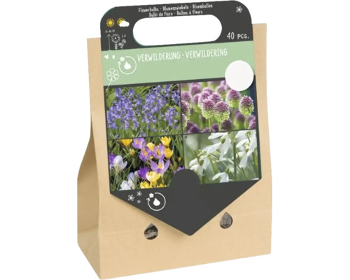 Set mit 40 Blumenzwiebeln zur Verwilderung in brauner Papiertragetasche mit Abbildung von verschiedenen Frühlingsblumen.