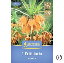 Kaiserkrone Fritillaria Aurora von Kiepenkerl zur Pflanzung im Garten (Image AI modified or generated)