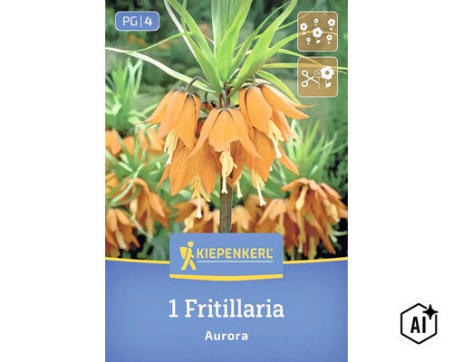 Kaiserkrone Fritillaria Aurora von Kiepenkerl zur Pflanzung im Garten (Image AI modified or generated)