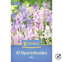 Kiepenkerl Hyacinthoides Mix Blumenzwiebeln, Packung mit zehn Stück für den Garten. (Image AI modified or generated)