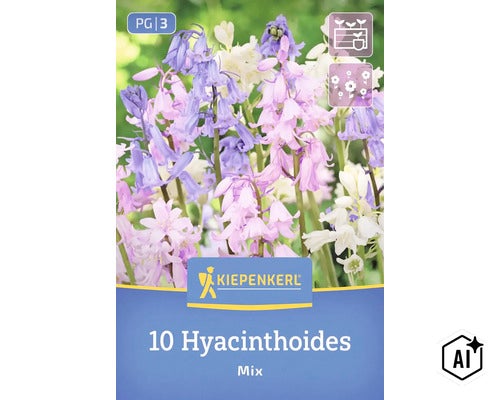 Kiepenkerl Hyacinthoides Mix Blumenzwiebeln, Packung mit zehn Stück für den Garten. (Image AI modified or generated)