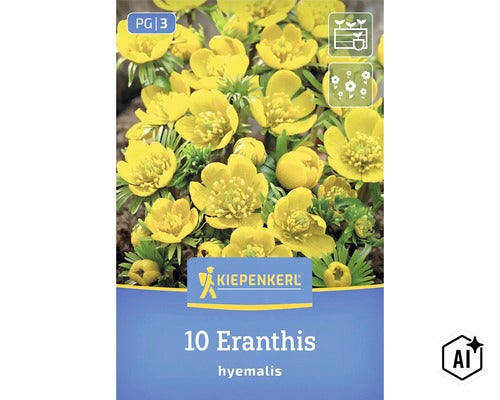 Kiepenkerl Logo, 10 Eranthis hyemalis Winterlinge Blumenzwiebeln, Frühlingsblüher fuer den Garten. (Image AI modified or generated)