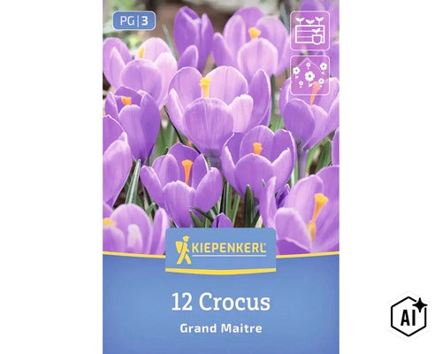 Kiepenkerl Krokus Grand Maitre Blumenzwiebeln, 12 Stück für die Frühlingsblüte im Garten. (Image AI modified or generated)