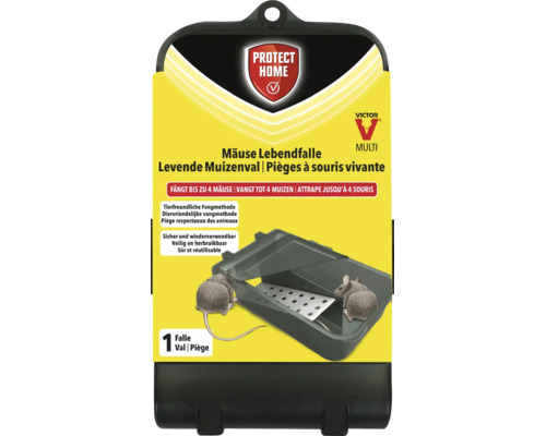 Victor Protect Home Mäuse Lebendfalle für bis zu 4 Mäuse, tierfreundlich und wiederverwendbar.