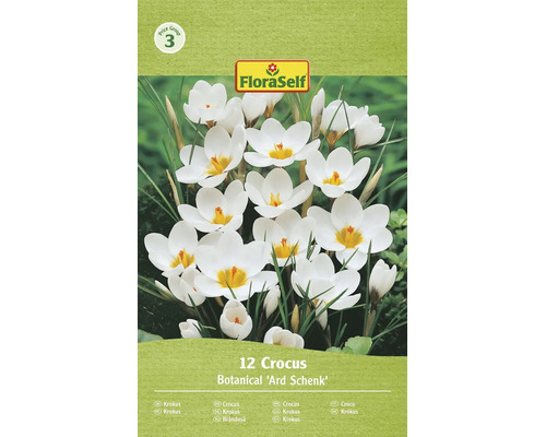 Blumenzwiebeln Krokus Botanisch Ard Schenk zwolf Stuck FloraSelf Logo Preiskategorie drei