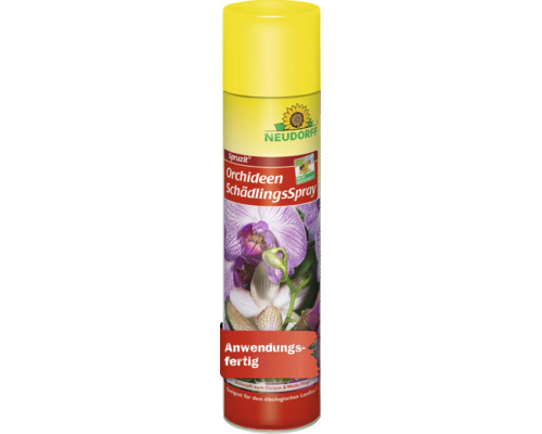 Neudorff Spruzit Orchideen Schädlingsspray als anwendungsfertiges Pflanzenschutzmittel zur Bekämpfung von Schädlingen an Orchideen.