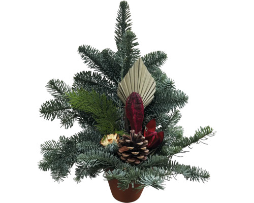 Weihnachtsgesteck in einem Topf mit Tannenzweigen, einem Tannenzapfen und dekorativen Elementen aus Naturmaterialien.