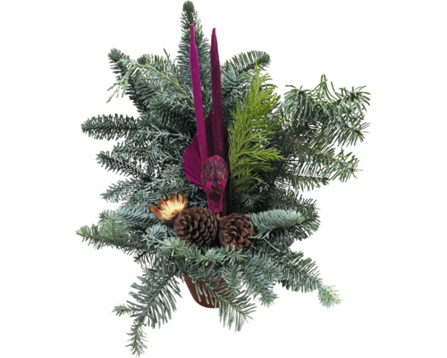 Weihnachtsgesteck mit Tannenzweigen, Zapfen und Kerzen in einem Topf als Tischdekoration