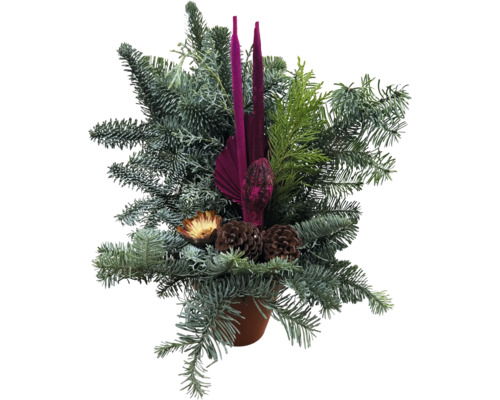 Weihnachtliches Gesteck in einem Topf mit Tannenreisig, zwei Kerzen, Zapfen und Dekorationsschmuck.