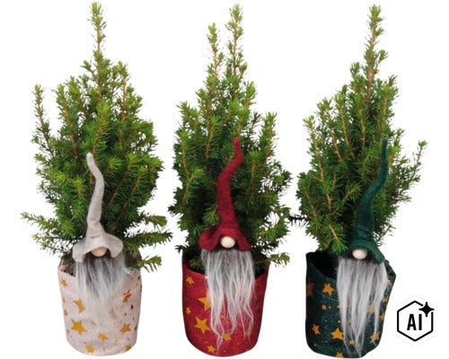 Drei kleine Koniferen im Topf als Weihnachtsdekoration mit Wichtelfiguren und Sternenmuster (Image AI modified or generated)