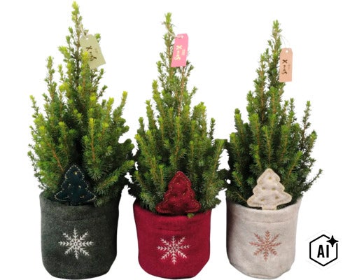 Drei kleine Koniferen in Filztöpfen mit Schneeflockenstickerei und weihnachtlicher Dekoration (Image AI modified or generated)