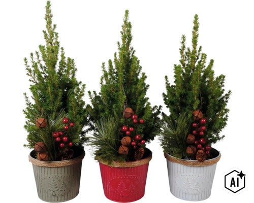 Drei kleine künstliche Weihnachtsbäume in verzierten Metalltöpfen mit Beeren und Glocken dekoriert. (Image AI modified or generated)