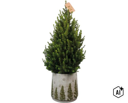 Kleine Konifere als Weihnachtsbaum im dekorativen Topf mit Tannenmuster und Schneeflockenmotiv. (Image AI modified or generated)