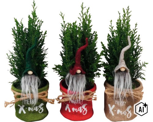 Drei kleine Koniferen in Jutetöpfen mit dekorativen Weihnachtswichteln und Merry Christmas Schriftzug als festliche Weihnachtsdekoration. (Image AI modified or generated)