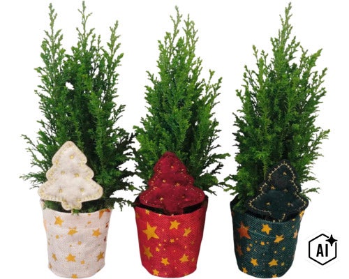 Drei kleine Zypressen in Blumentöpfen mit weihnachtlichem Sternenmuster und Filzdekoration in Form von Weihnachtsbäumen. (Image AI modified or generated)