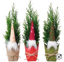 Drei kleine Koniferen in Jutetöpfen mit dekorativen Wichtelfiguren als weihnachtliche Tischdekoration (Image AI modified or generated)