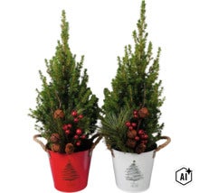 Zwei kleine Weihnachtsbäume in Metalltöpfen dekoriert mit Glocken, Beeren und Tannenzapfen als weihnachtliche Dekoration. (Image AI modified or generated)